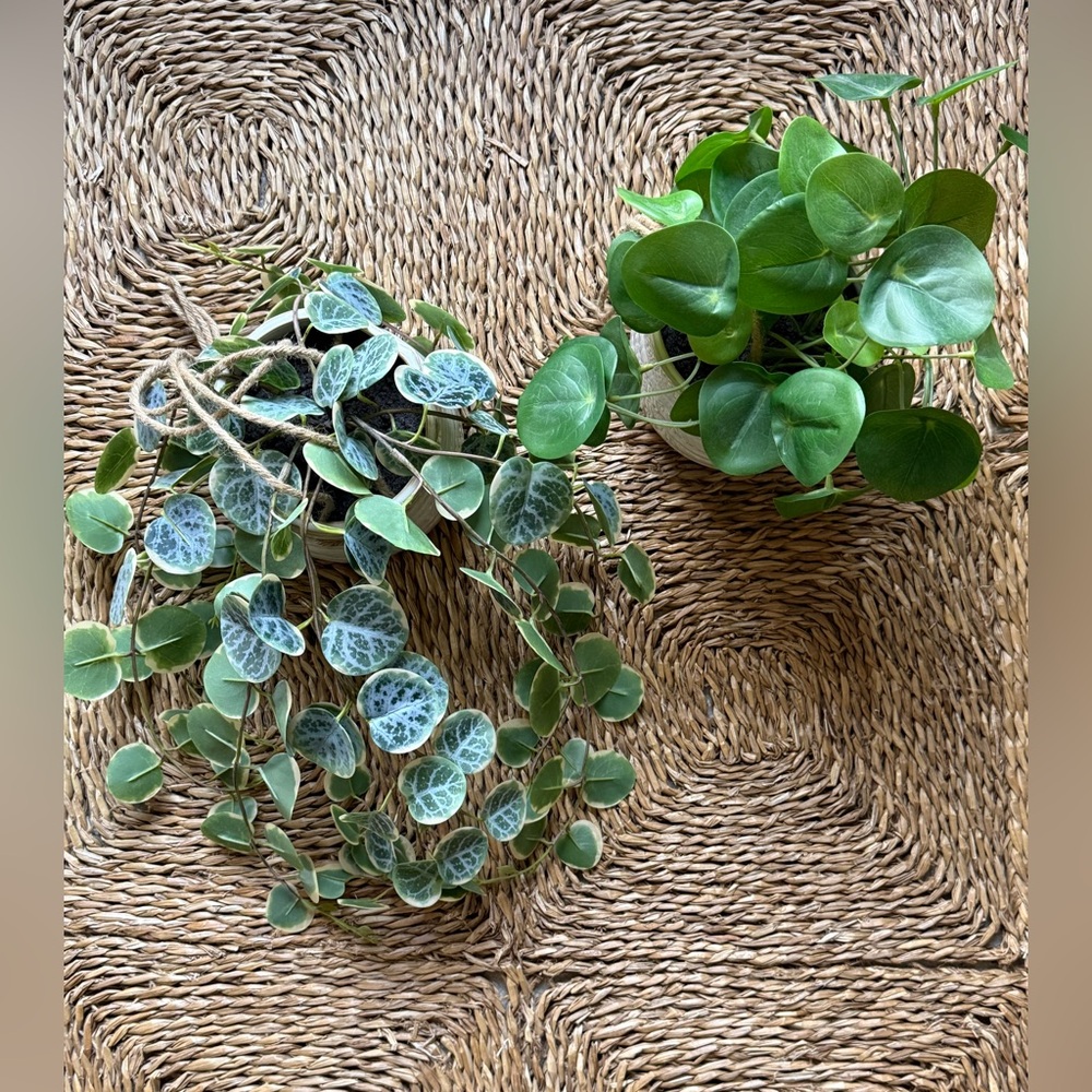 Green Trailing Hanging Faux Plants Set - Hearth & Hand Decorative Home Accent